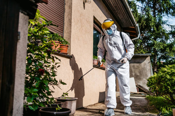 Reliable Cass City, MI Pest Control Solutions