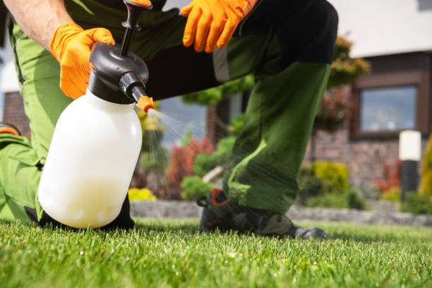 Best Pest Removal Services  in Cass City, MI