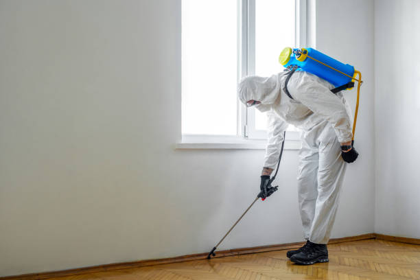Best Commercial Pest Control Services  in Cass City, MI