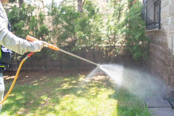 Best Local Pest Control Services  in Cass City, MI