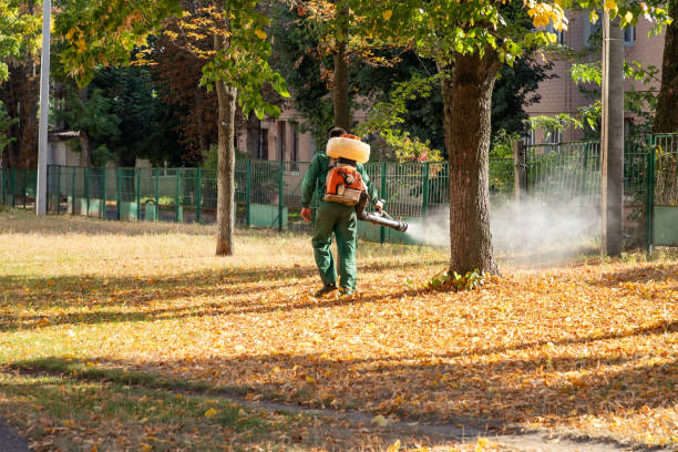Best Affordable Pest Control Services  in Cass City, MI
