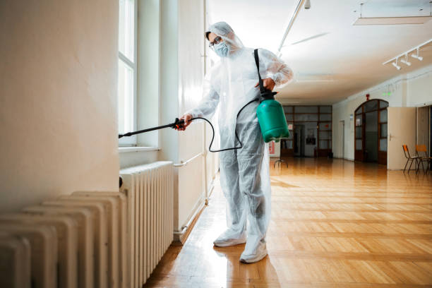 Best Insect Control  in Cass City, MI