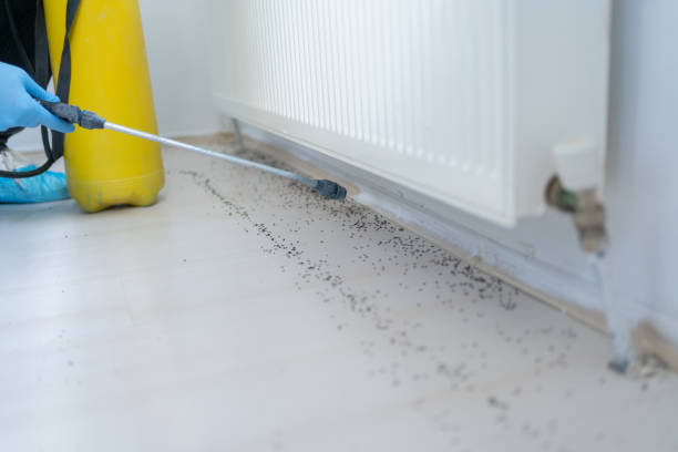 Best Emergency Pest Control  in Cass City, MI