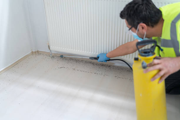 Best Pest Control for Restaurants  in Cass City, MI