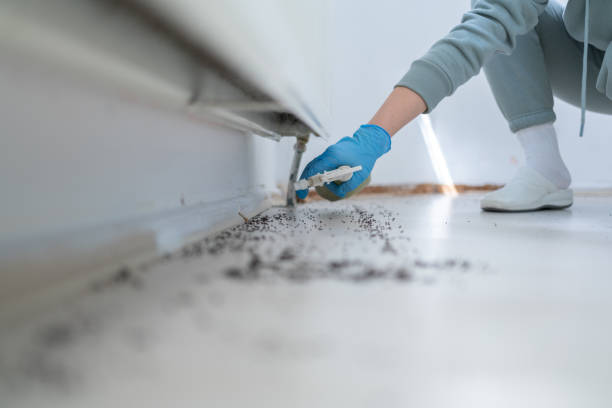 Best Rodent Control Near Me  in Cass City, MI